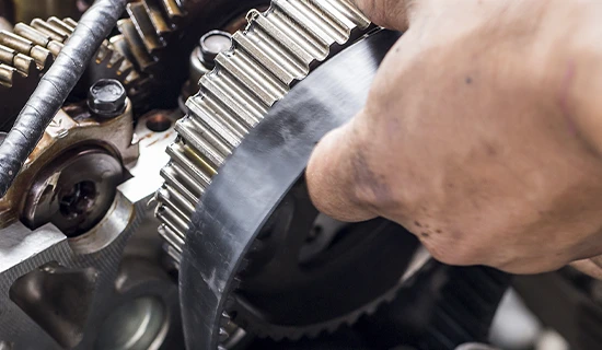 Ensayos Acción Fisio Química